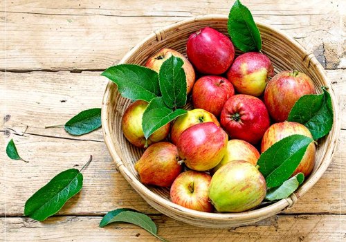 Der Apfel – das beliebteste Obst in Deutschland